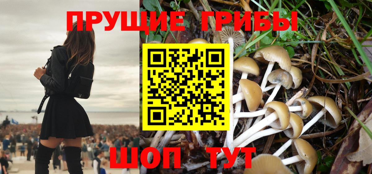 Галлюциногенные грибы мухоморы  Псилоцибиновые грибы Cubensis  Вход с VPN  Малгобек 