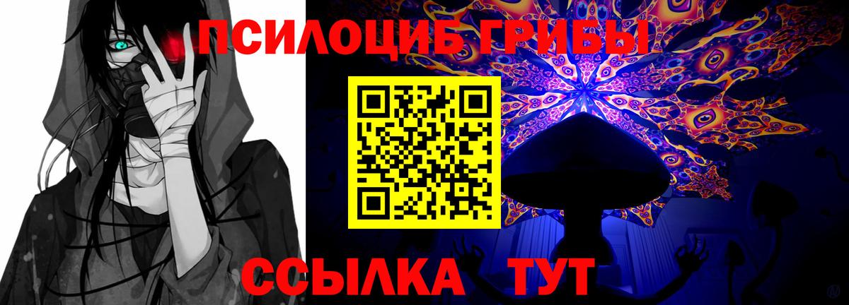 Псилоцибиновые грибы прущие грибы Малгобек